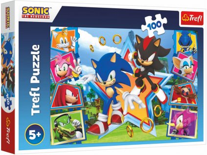 TREFL PUZZLE Ježek Sonic (Sonic the Hedgehog) 41x27cm 100 dílků skládačka