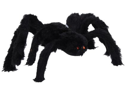 Pavouk černý 30 cm