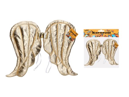 Set karneval - zlaté křídla 50x40 cm