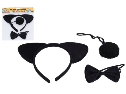 Set karneval - medvěd