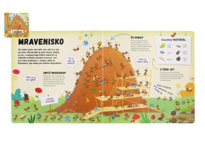 Kniha Čo sa deje v mravenisku SK verzia 23x23cm