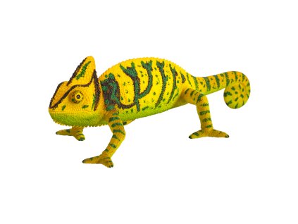 Mojo Chameleon