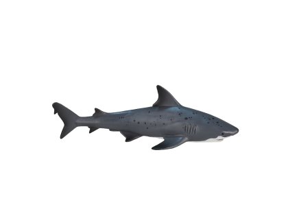 Mojo Žralok bělavý