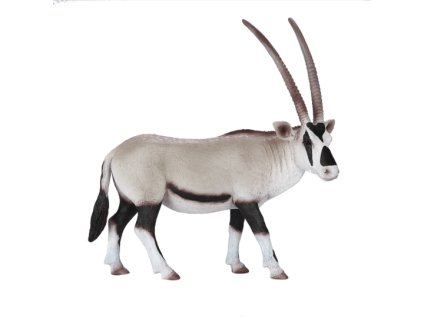 Mojo Přímorožec arabský