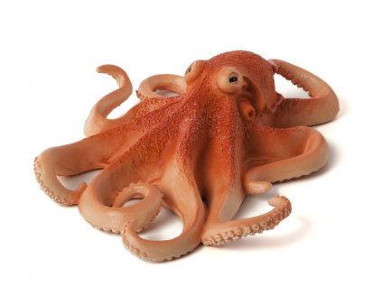 Mojo Chobotnice tmavá