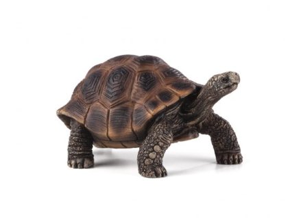 Mojo Želva obrovská