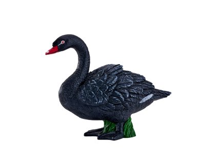 Mojo Labuť černá