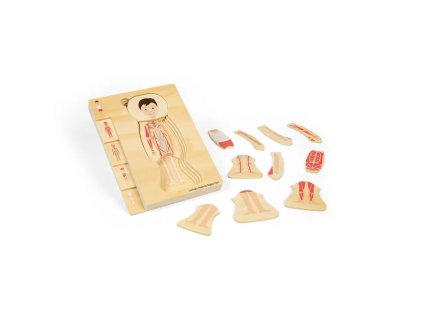 Bigjigs Toys Dřevěné puzzle Anatomie chlapec