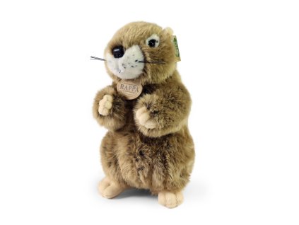 Rappa Plyšový svišť 23 cm ECO-FRIENDLY