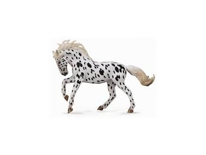 COLLECTA Knabstrupper Mare - leopard Černý