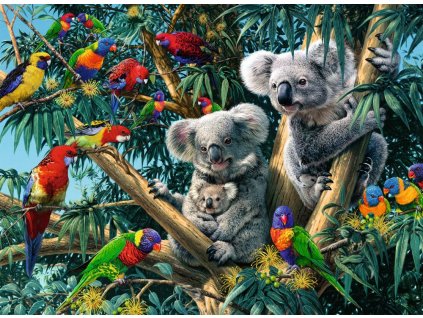 Koaly na strome 500 dielikov