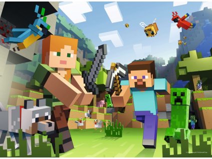 Minecraft 100 dielikov