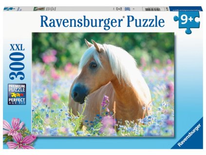 Kôň 300 dielikov