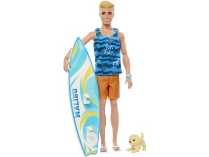 Barbie KEN surfista s doplnkami