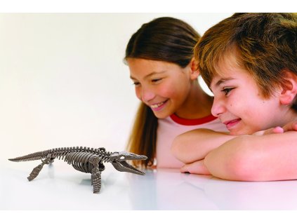 4M Kostra - Mosasaurus