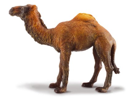 COLLECTA Dromedár