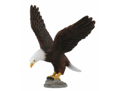 COLLECTA Orol bielohlavý