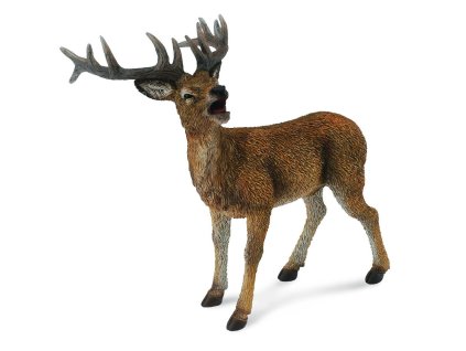 COLLECTA Jeleň lesný