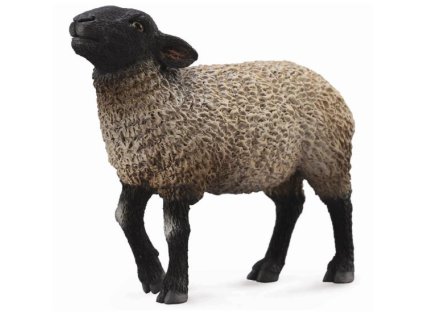 COLLECTA Ovca Suffolk