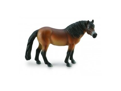 COLLECTA Exmoor Pony hřebec