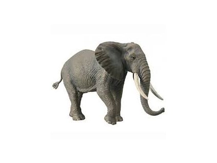 COLLECTA Slon africký