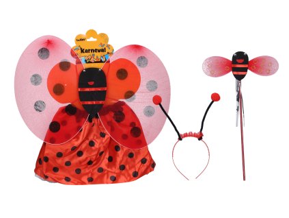 Set karneval - beruška