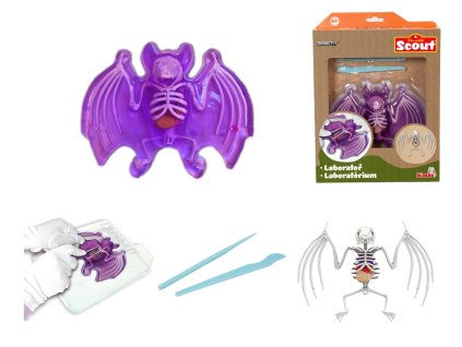 Objavuj Pitva Netopier