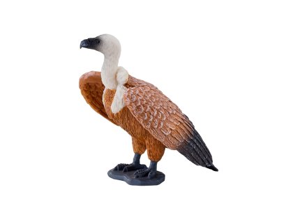 Mojo Sup bělohlavý hnědý