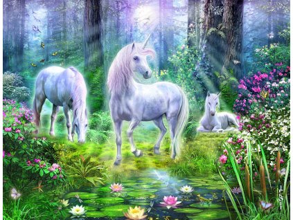 Diamantové malování - Pegas v kouzelném lese 30 x 40 cm