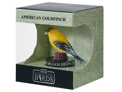 Mojo Stehlík americký v krabičce