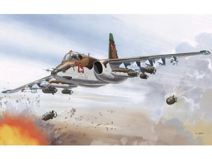 Suchoj Su-25 K