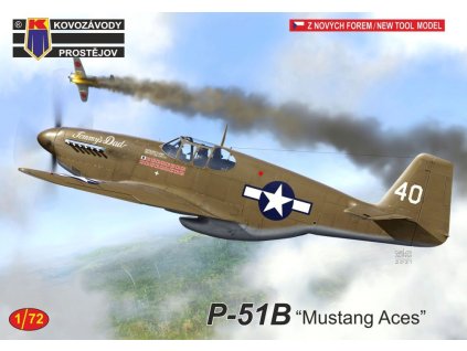 P-51B Mustang Aces