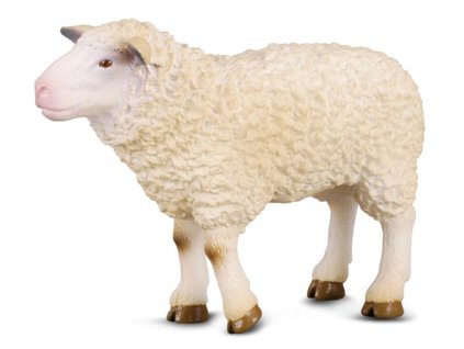 COLLECTA Ovca