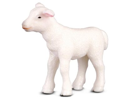 COLLECTA Jahňa