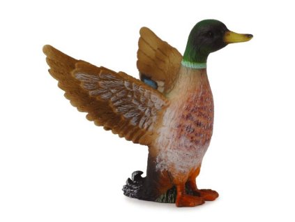 COLLECTA Kačica divá - káčer