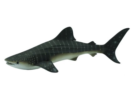COLLECTA Žralok obrovský