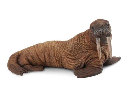 COLLECTA Mrož ľadový