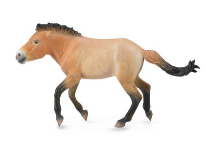 COLLECTA kôň Przewalského