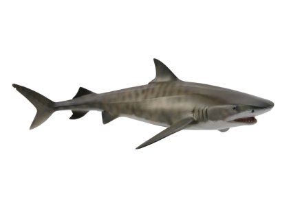 COLLECTA žralok tigrí