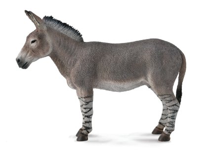COLLECTA somár africký