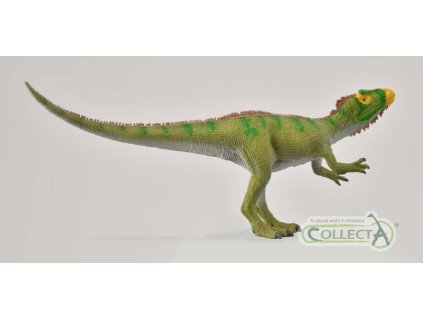COLLECTA Neovenator