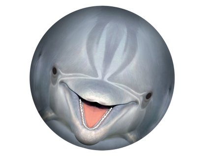 SPORTO Podvodná lopta - delfín