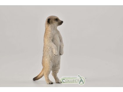 COLLECTA Surikata stojaca