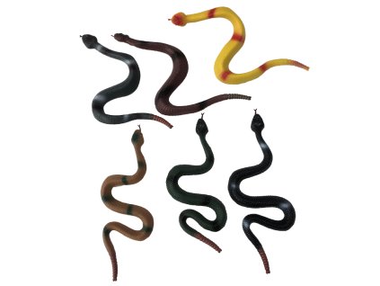 Had 43 cm - 6 druhů