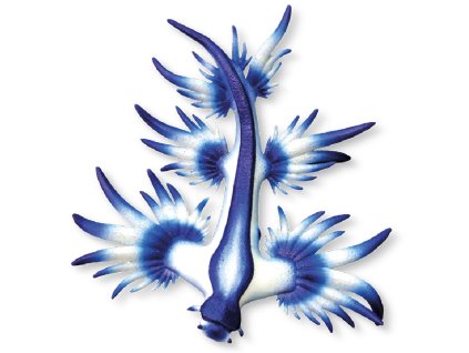 Bullyland 67511 - Modrý mořský slimák