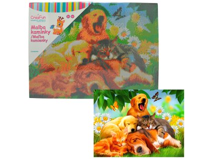 Diamantové malování - Siesta Psy a kočky 30 x 40 cm