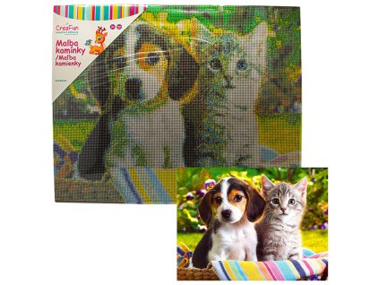 Diamantové malování - Pes a kočka 40 x 50 cm