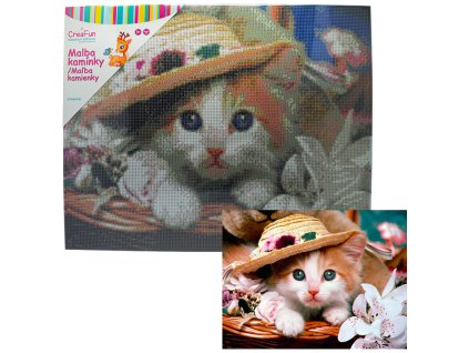 Diamantové malování - Nevinné koťátko 40 x 50 cm
