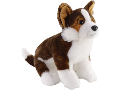 Norský Lundehund 19 cm