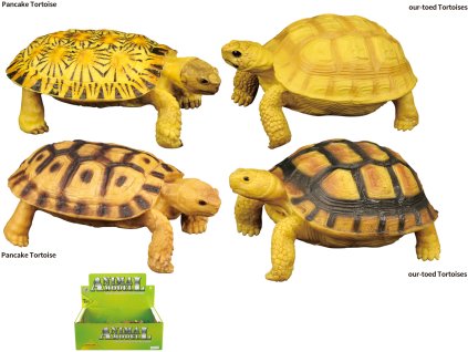 Zvířecí svět - Želva H54 4 druhy